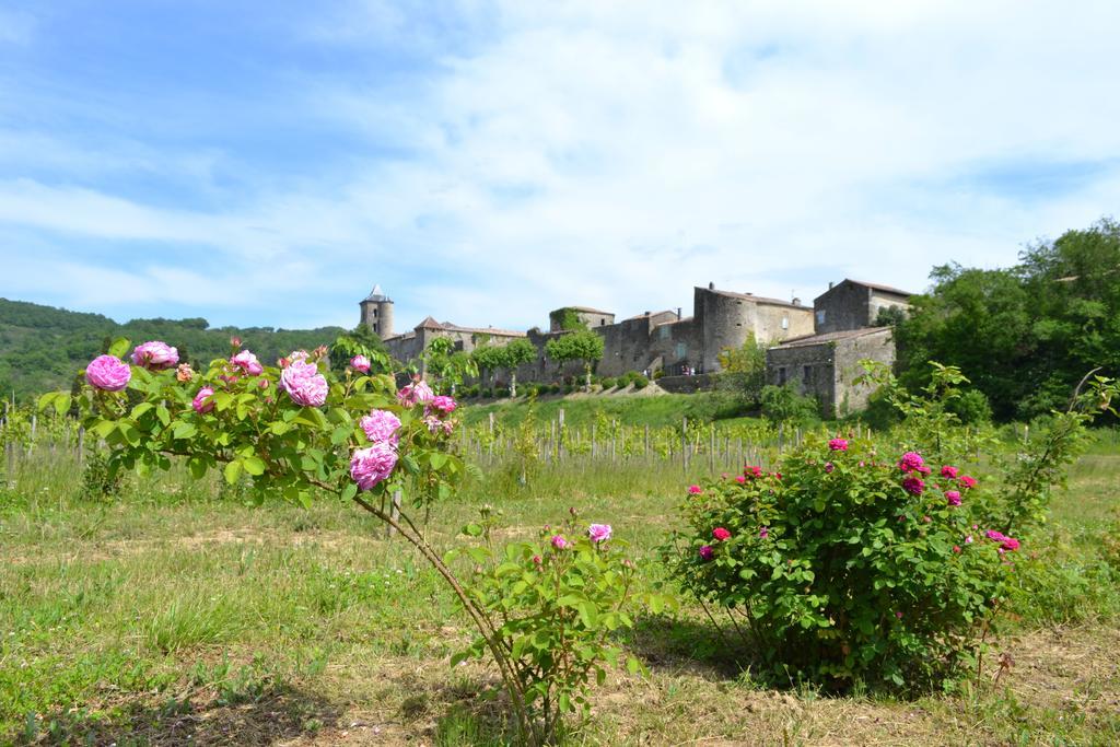 Chambres D'Hotes Domaine Du Hameau Baylesse Saint-Jean-d'Aigues-Vives エクステリア 写真