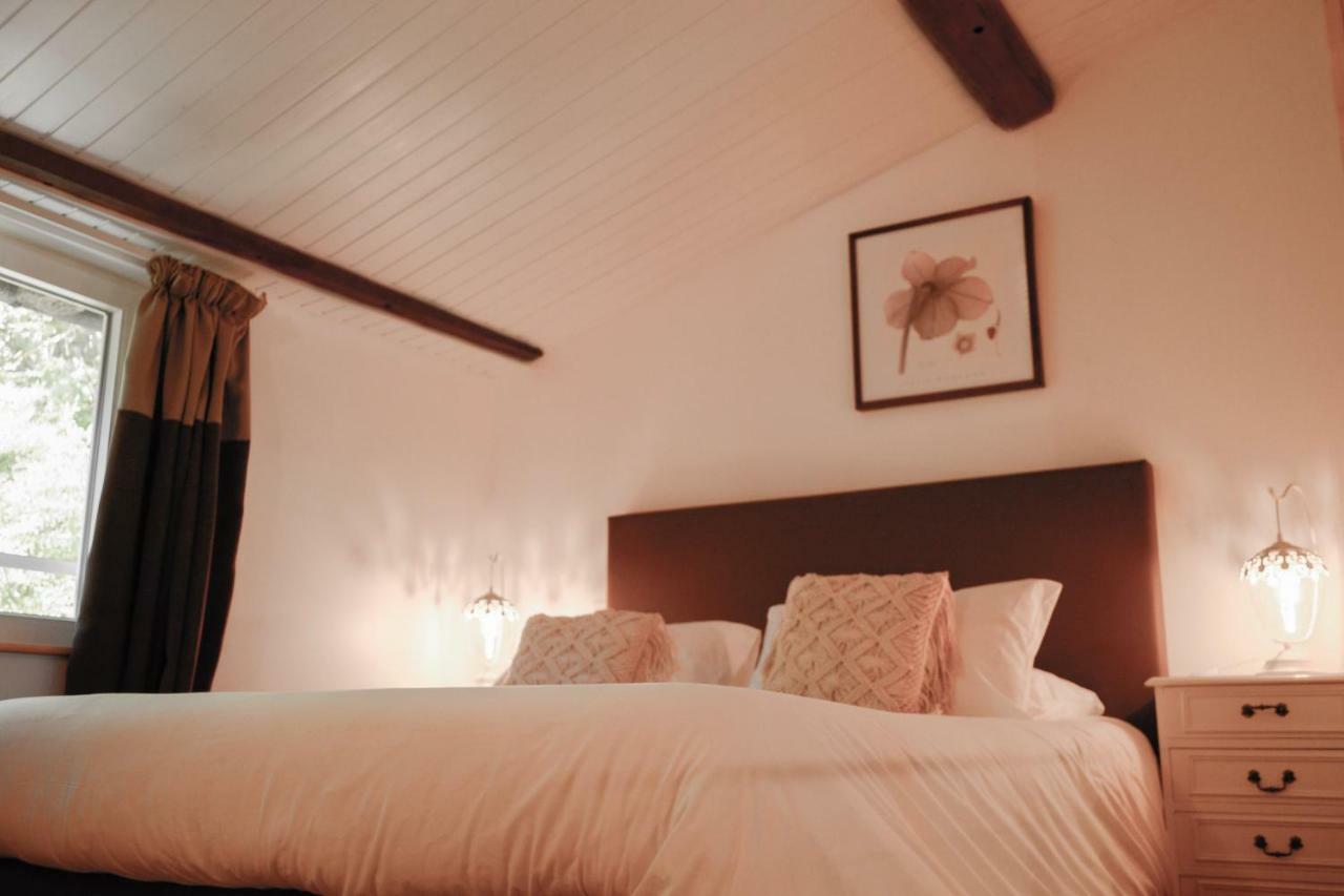 Chambres D'Hotes Domaine Du Hameau Baylesse Saint-Jean-d'Aigues-Vives エクステリア 写真